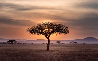 Equity History Of The Johannesburg Stock Exchange (1900 – 2018)
